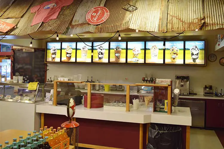 Delicious Ice Cream Cone at Williamsburg Ice Cream Shack